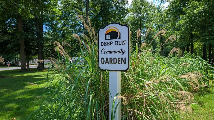 Deep Run Picture 6