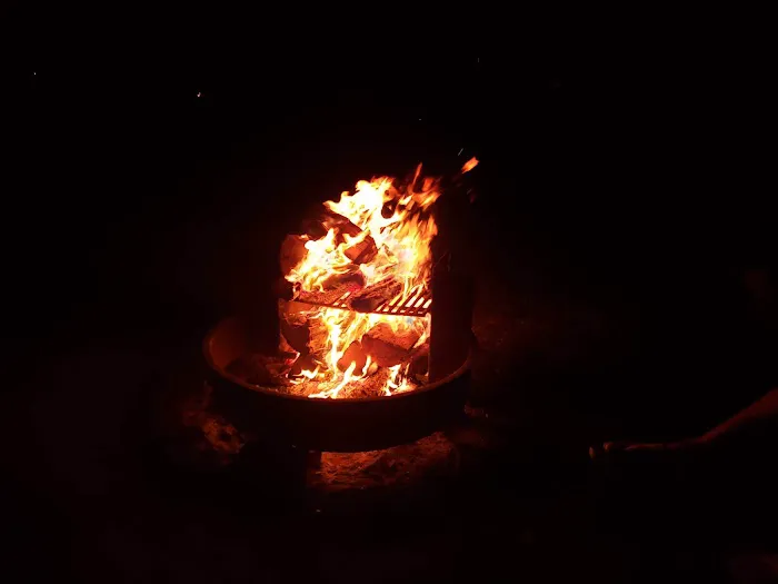 Evangola State Park Campground Picture 4