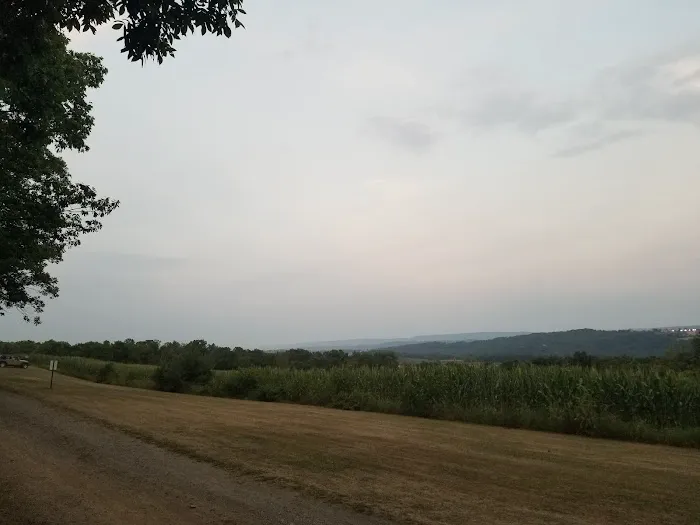 Turner's Highview campground Picture 6