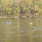 Dockside Campground