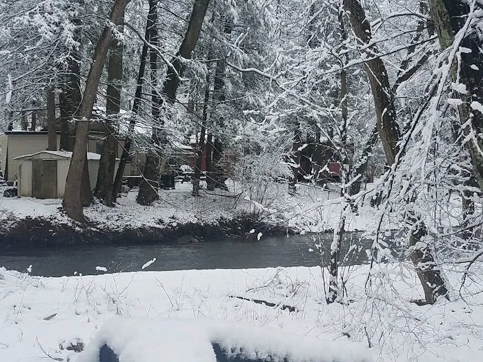 Shady Creek Campground Picture 3