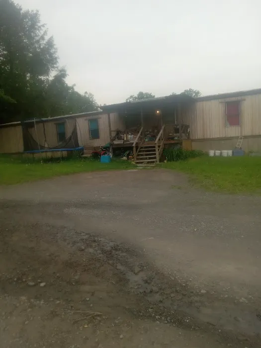 Copper Kettle Mobile Home Picture 6