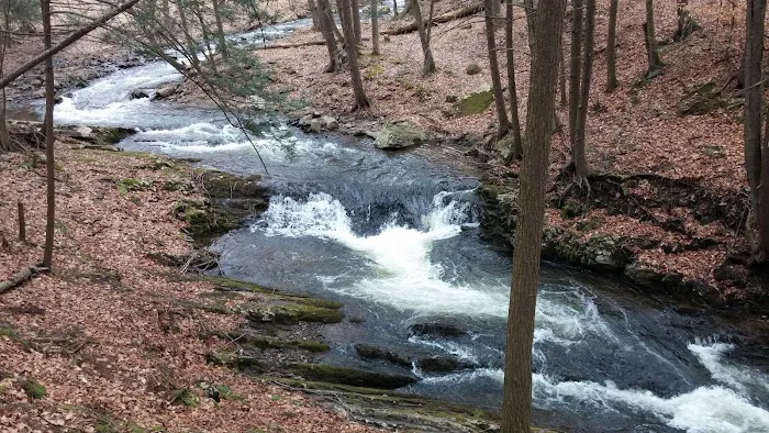 Council Cup Campground Picture 9