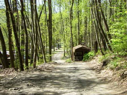 Council Cup Campground Picture 5