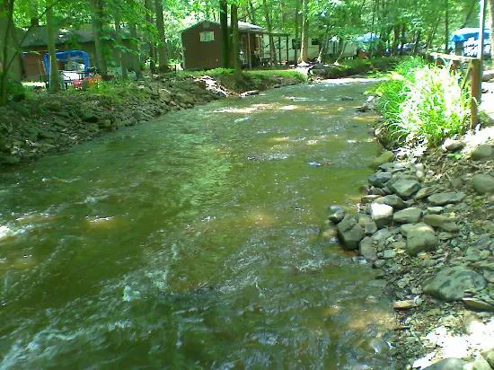 Council Cup Campground Picture 6
