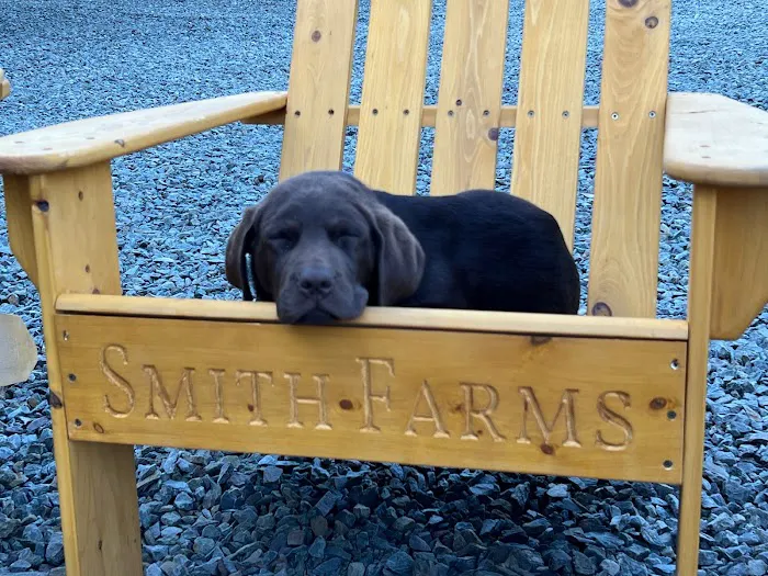 Smith Farms 2 Picture 5