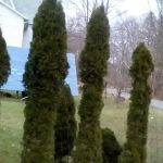 Hillview Mobile Home Park