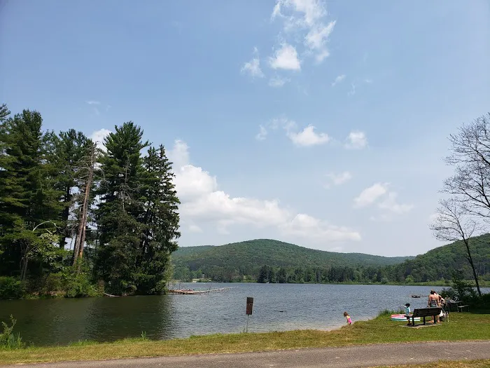 Allegany State Park - Redhouse Loop Campground Picture 8