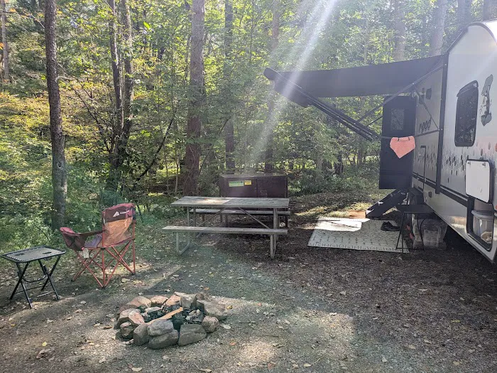 Allegany State Park - Redhouse Loop Campground Picture 10