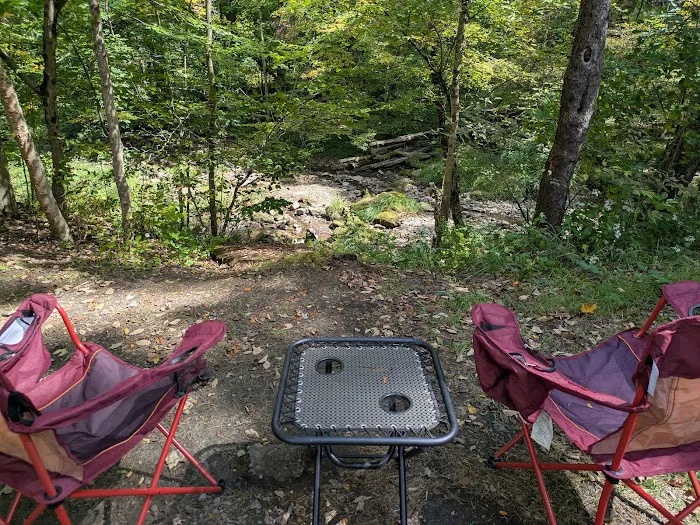 Allegany State Park - Redhouse Loop Campground Picture 7