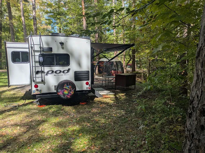 Allegany State Park - Redhouse Loop Campground Picture 4