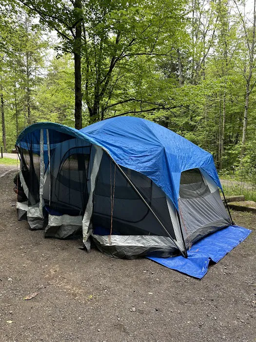 Allegany State Park - Redhouse Loop Campground Picture 6