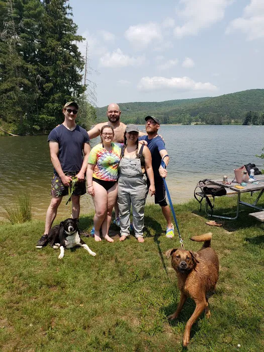 Allegany State Park - Redhouse Loop Campground Picture 9