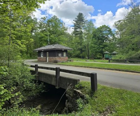 Allegany State Park - Redhouse Loop Campground