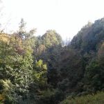 Skybrook Campground