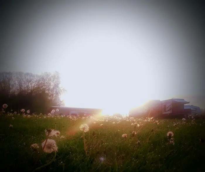 Skybrook Campground Picture 8