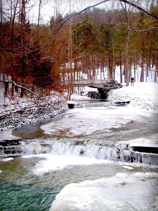 Stony Brook State Park Campground Picture 6
