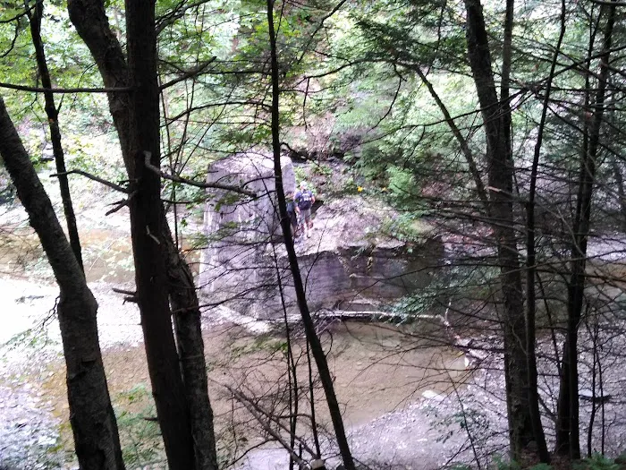 Stony Brook State Park Campground Picture 8