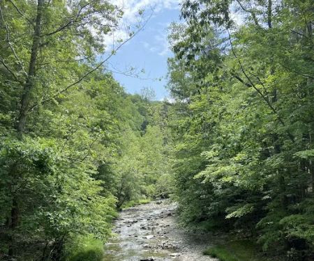 Stony Brook State Park Campground
