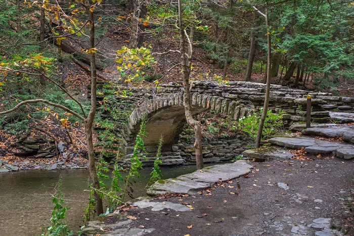 Stony Brook State Park Campground Picture 3