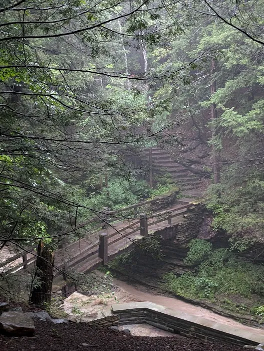 Stony Brook State Park Campground Picture 9