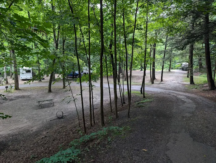 Stony Brook State Park Campground Picture 10