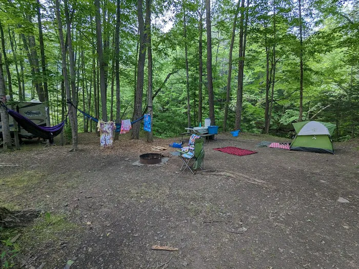 Group Camp Entrance, Stony Brook Picture 2