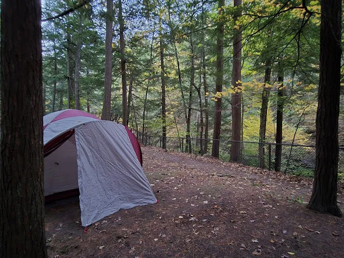 Group Camp Entrance, Stony Brook Picture 5