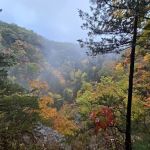 Group Camp Entrance, Stony Brook