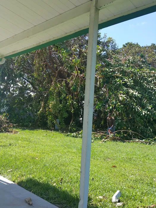 Coral Cay Plantation Homeowner Picture 8