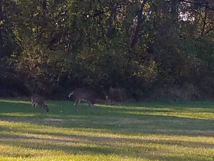 Indian Creek Village Picture 4