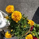 Hi-Point Mobile Home Park, by Valley Community Management