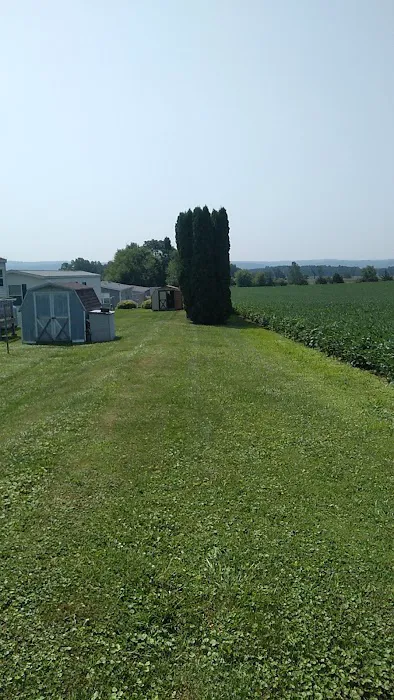 Sittler's Mobile Homes Picture 5
