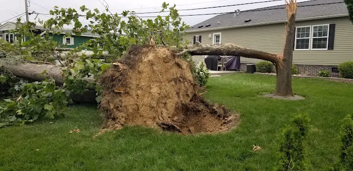 Penn Valley Terrace Picture 1