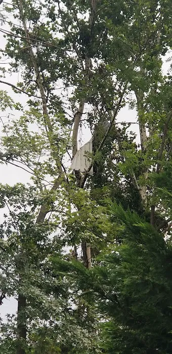 Penn Valley Terrace Picture 4