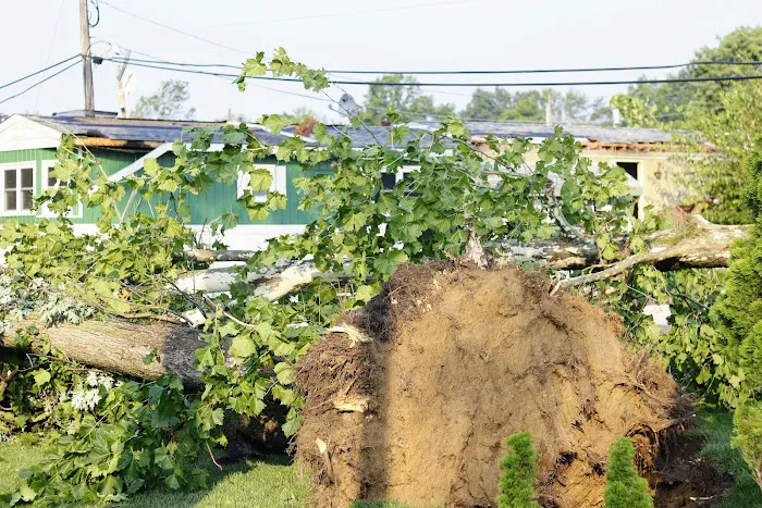 Penn Valley Terrace Picture 7