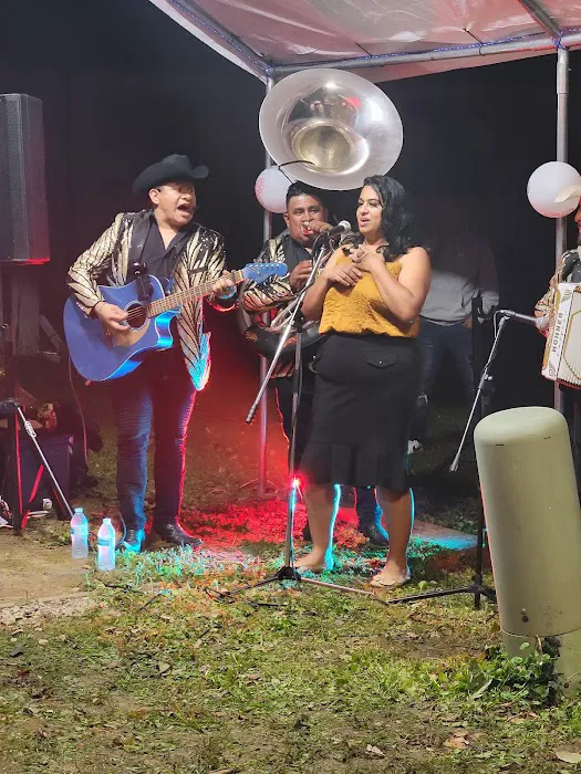 Top of the Ridge Inc Picture 4