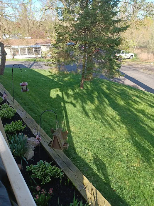 Terry's Mobile Home Park Picture 7