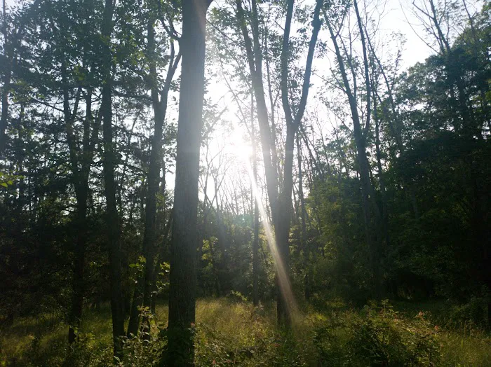 Deer Wood Campground Picture 6