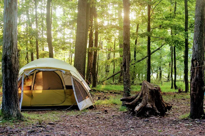 Deer Wood Campground Picture 9