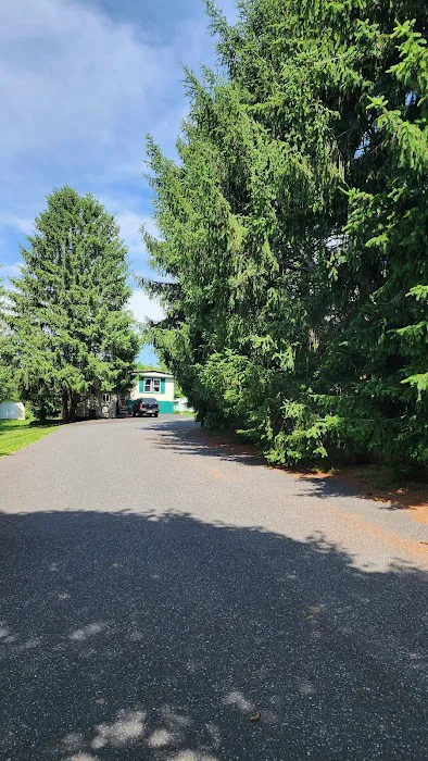 Cherry Mobile Home Park Picture 10