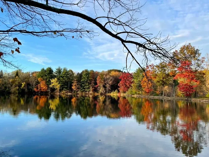 Lakewood Park Campground Picture 3