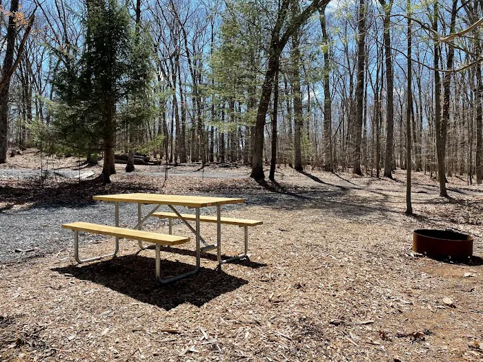 Lakewood Park Campground Picture 9