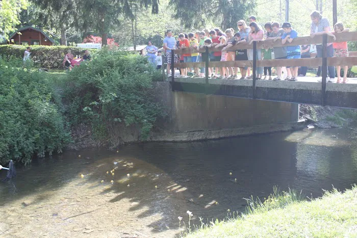 Allentown KOA Journey Picture 4