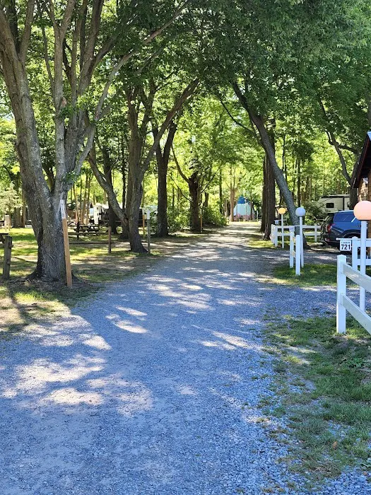 Beachcomber Camping Resort Picture 5