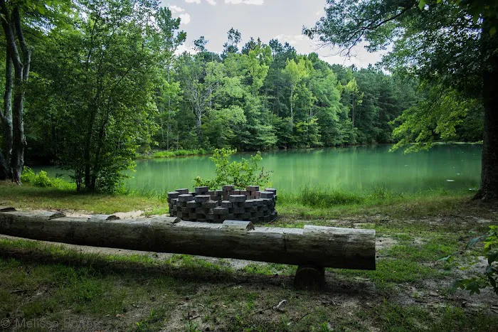 Crystal Springs Wilderness Lodges & RV Resort Picture 5