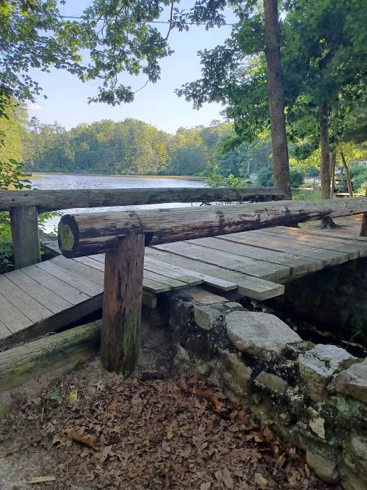 Timberland Lake Campground Picture 2