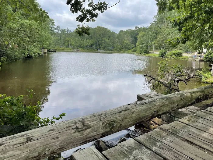 Timberland Lake Campground Picture 7