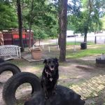 Indian Rock RV Park & Campground