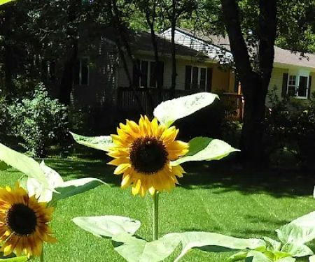 Land O Pines Mobile Home Park